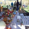 fesztival_mihalygerge_2013_0049